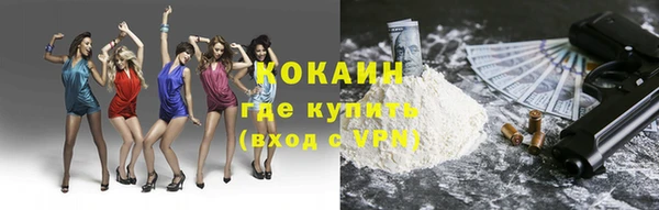 прущая мука Арсеньев