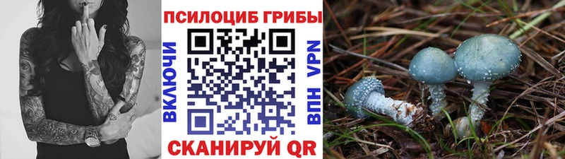 Галлюциногенные грибы прущие грибы Талдом